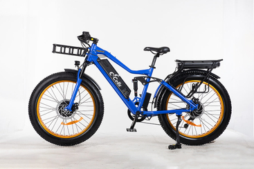 E-CELLS 슈퍼 모나크 AWD 700 1000와트
