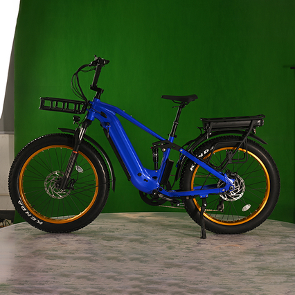 듀얼 배터리 Eletcirc 자전거 고전력 전력 전기 지방 타이어 자전거 1500W 허브 모터