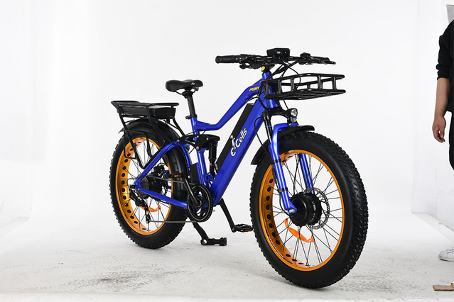 E-CELLS 슈퍼 모나크 AWD 700 1000와트