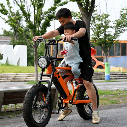 20 '인치 지방 타이어 더블 크라운 서스펜션 포크 장거리 전기 자전
