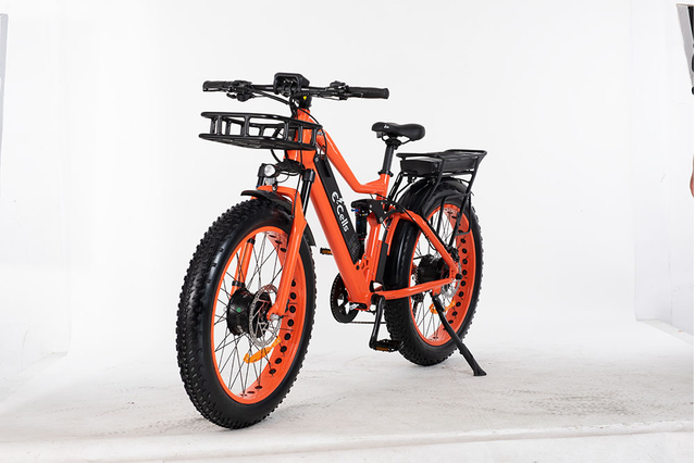 E-CELLS 슈퍼 모나크 AWD 700 1000와트