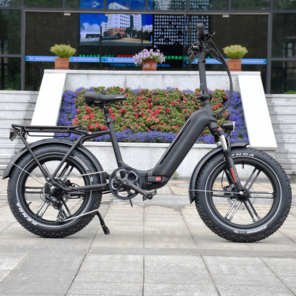 숨겨진 배터리 접이식 20인치 팻 타이어 리어 허브 모터 바이크(7단 변속기 포함)